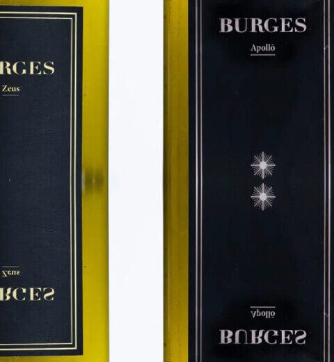 burges-media-媒體報導-6