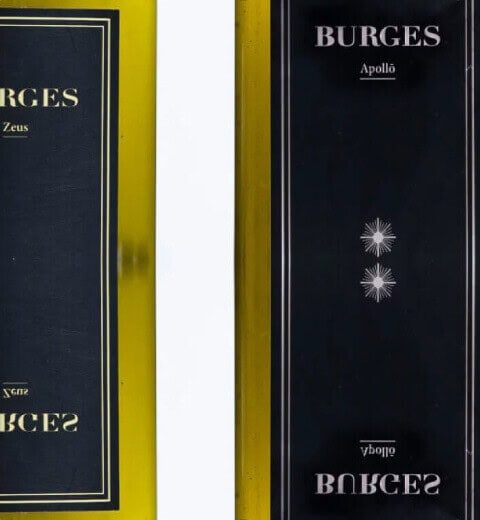 burges-media-媒體報導-6